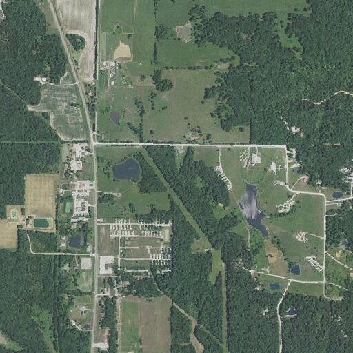 Man reported hitting dogs with a leash at campsite