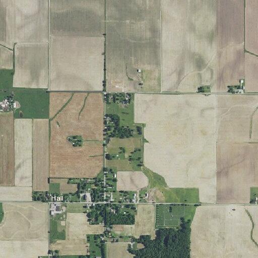 Animal bite reported near North Hall Road