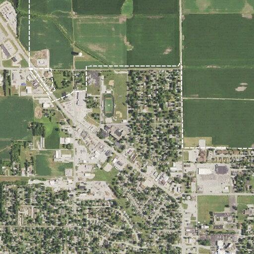 81-year-old female with blood in stool in Taylorville