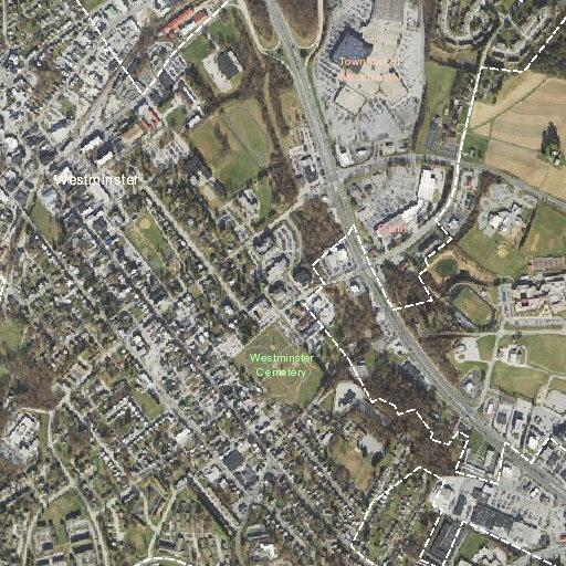Person with mental health issue at Carroll View Avenue