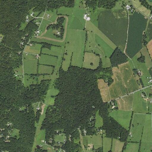 Possible rabid raccoon reported in Myersville