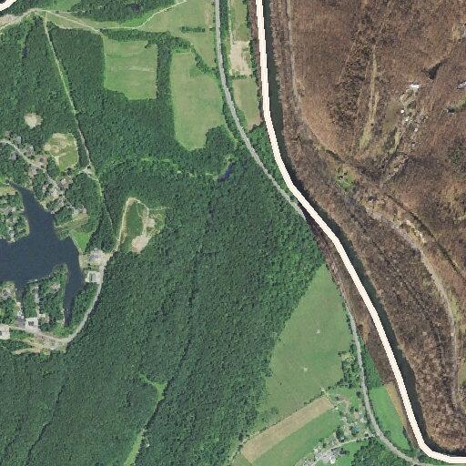 Person's arm stuck near Patterson Creek