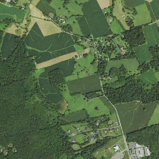 Person reported sick near Jacobs Well on Thomas Run Road