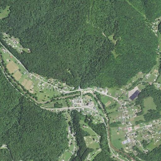 Tree blocking roadway on WV Route 20 near Reader