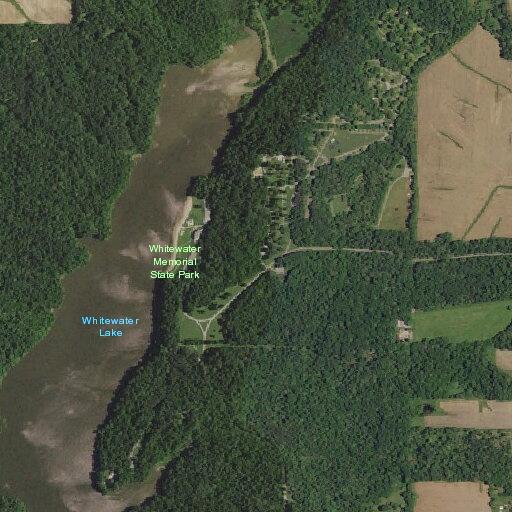 Report of juveniles swimming across park lake