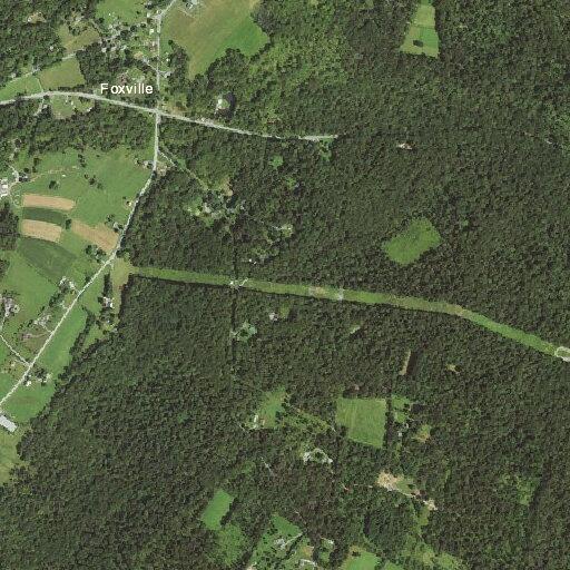 Tree blocking roadway on Tower Road