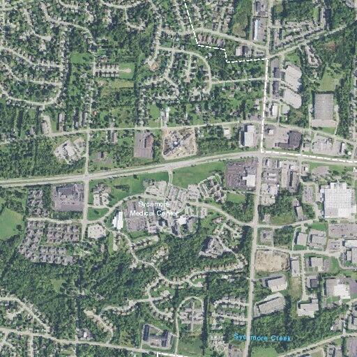 Elderly woman seen stumbling near Limestone Way