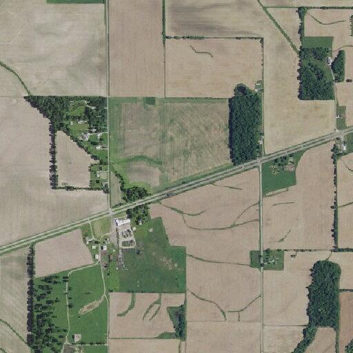 Single-vehicle crash after animal strike