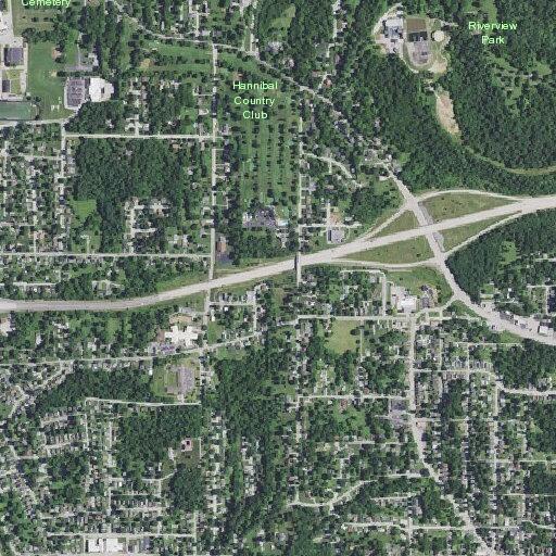 Person reporting back pain near Euclid Ave in Hannibal
