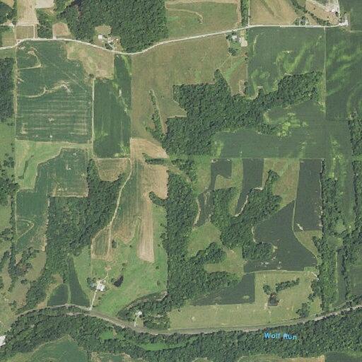 Missing person reported near Neelyville Road