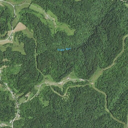 Elderly man falls near Yoho Lane, Proctor, WV