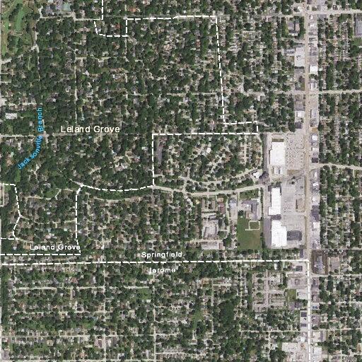 Teen reports family disturbance at West Iles home