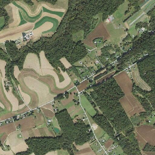 Sick person reported near Bald Eagle Road in Swan Township
