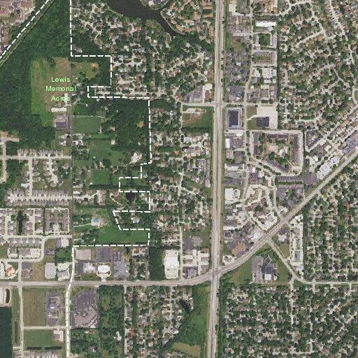 Woman having difficulty breathing near Springfield