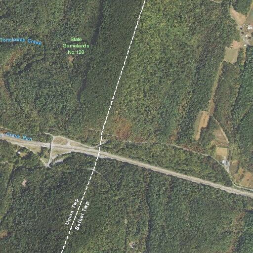 Tree blocking road on Old 126 in Bethel Township