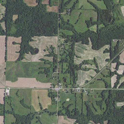 Disabled vehicle after deer collision blocks road