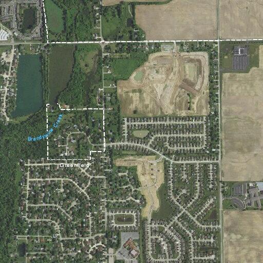 Aggressive dog reported at White Birch Lane home