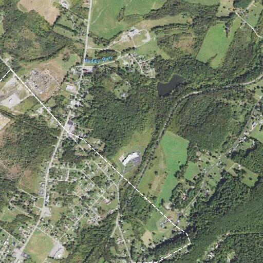 Tree resting on utility wire on Mountain Road