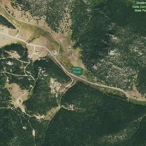 Dog bite reported near Windsong Trail in Black Hawk