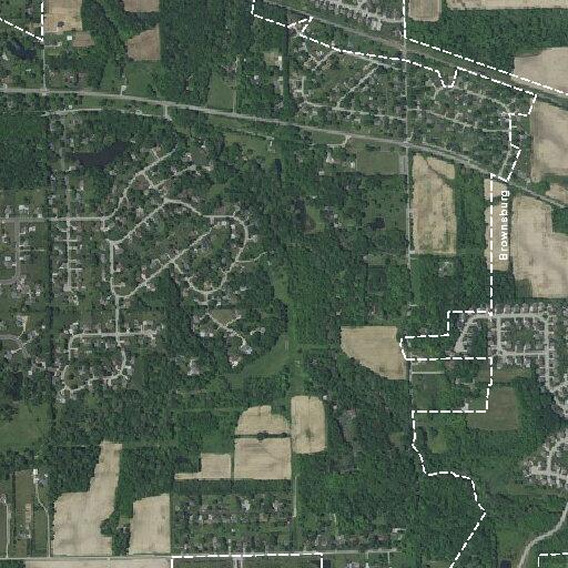 Caller mistakenly reports cat theft from SUV