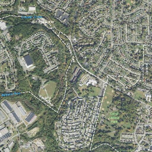 56-year-old woman experiencing chest pain in Brookhaven