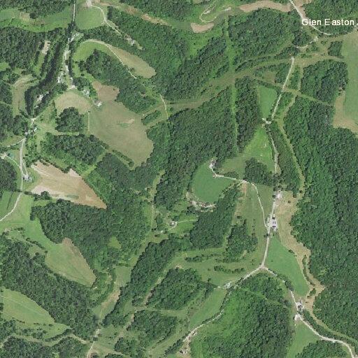 Trees cleared from roadside near Glen Easton address