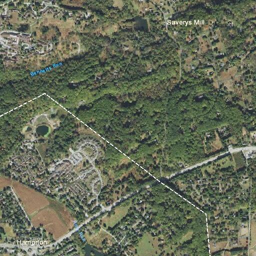 Multiple patients need ambulance at Kendal at Longwood