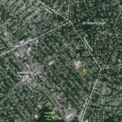 Elderly man with swollen legs near 7th Avenue, Haddon Heights