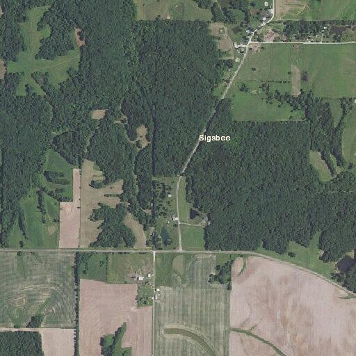 82-year-old man has back spasms near Shelbyville