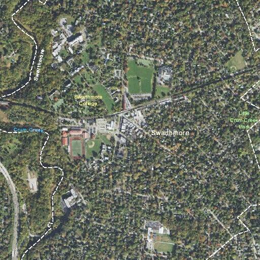 Male yelling incoherently in wooded area near school