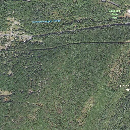 Person reported sick near Mountain Union Road