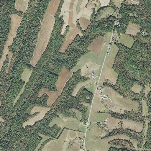 Person suffered fall near Pleasant Ridge Road, Belfast Township