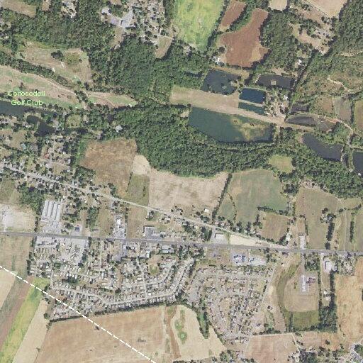 Person fell near East Main Street in Green Township