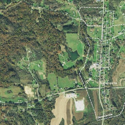 93-year-old woman needs medical help at Leatherwood Circle