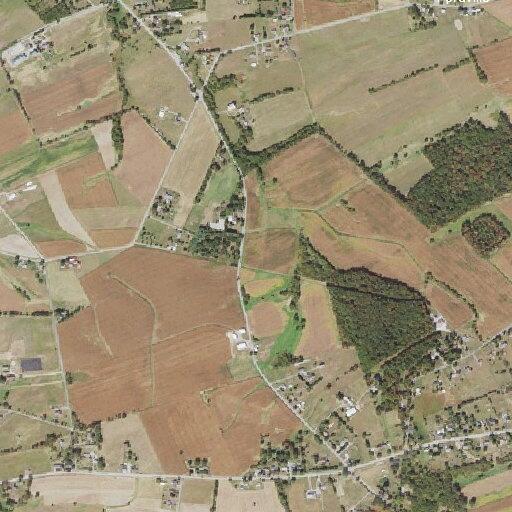 Person severely ill near East Berlin Road in Paradise Township