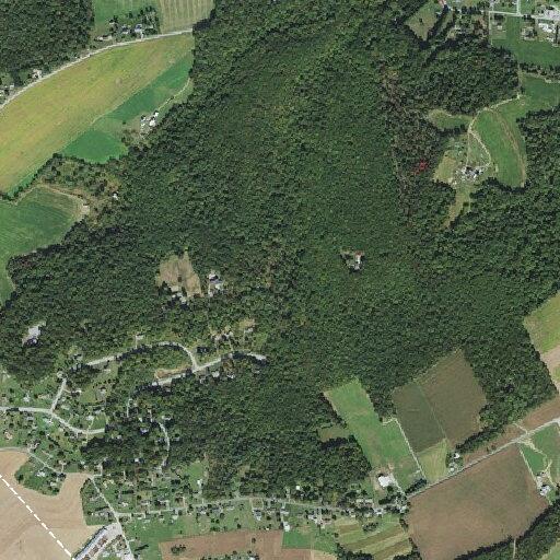 Person having stroke near Edith Drive in Windsor