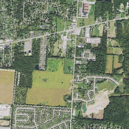 Grandson slaps grandmother at Haystack Avenue home