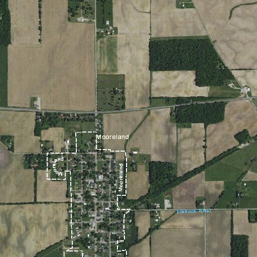 Loose brown horse near roadway on trail