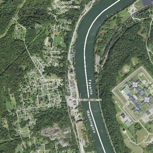 Neighbors burning toxic wood near homes and cars