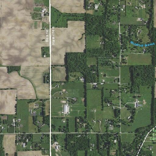 Loose cows creating road hazard in Zionsville