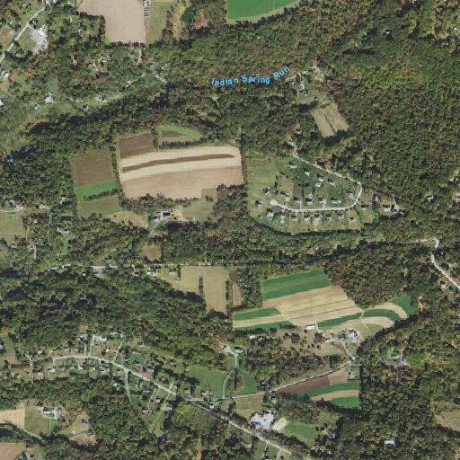 Person having allergic reaction near Leslie Lane