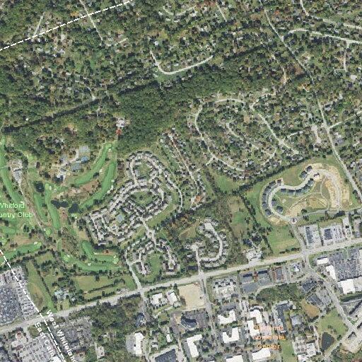 Person with emotional disorder near Blooms Boulevard