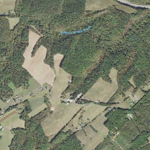 Female injured after being bucked off horse in Taylor Township