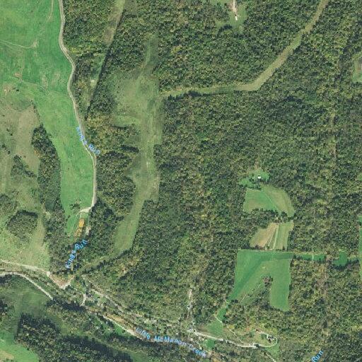 Man fainting near West Echo Road in Neffs