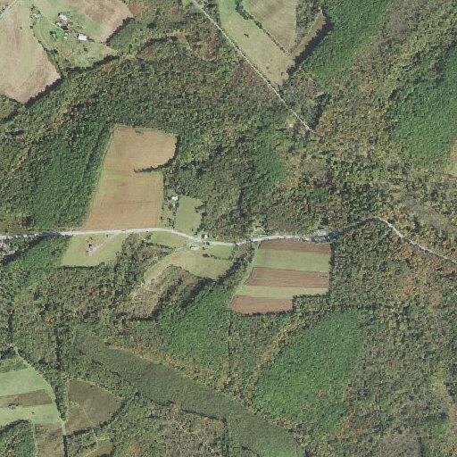 Trees down over possible wire on Lincoln Highway