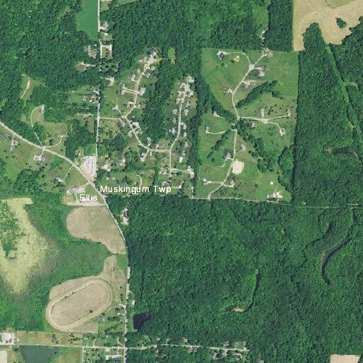31-year-old woman with foot injury at Denwood Drive