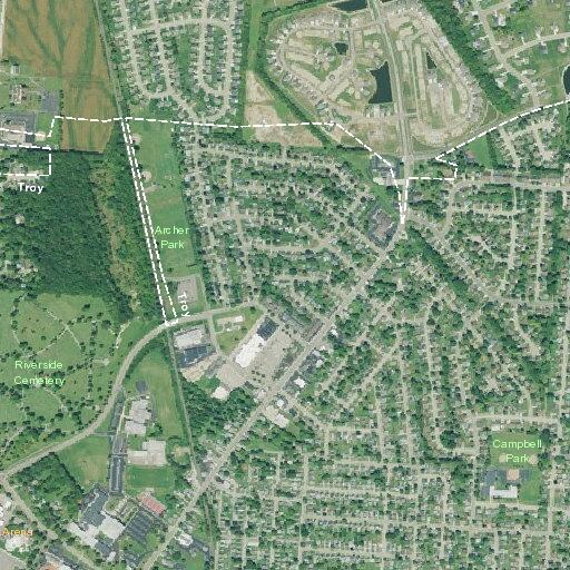 Person making suicidal comments near Virginia Ave in Troy