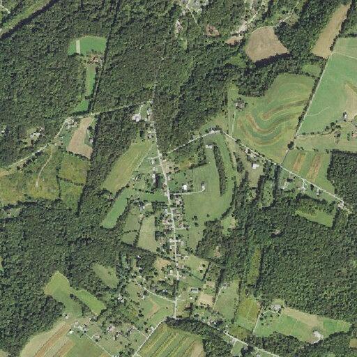 Fire units respond to Virgin Run Road address