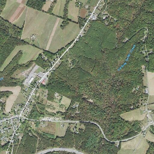 Elderly woman with back pain after fall in dublin township
