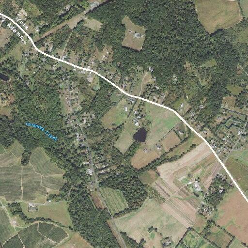 Elderly woman becomes dizzy and falls near County Line Road